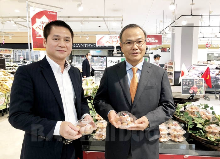 Hai Duong lychees exported to Japan 20 times more than last year